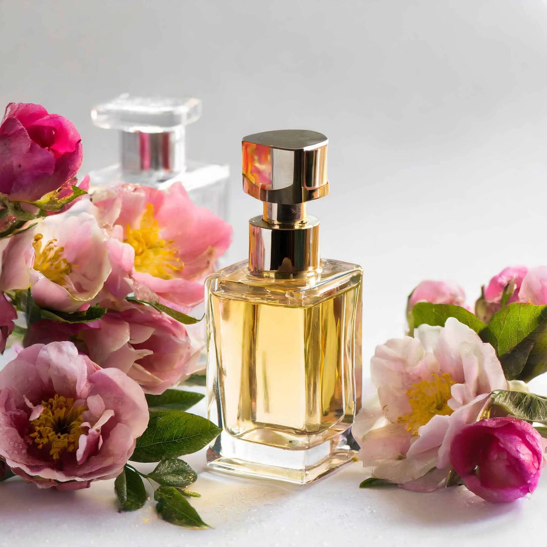 Top-10-Damen-Parfums-Die-besten-Frauen-Düfte-für-2024 Hani Perfumes