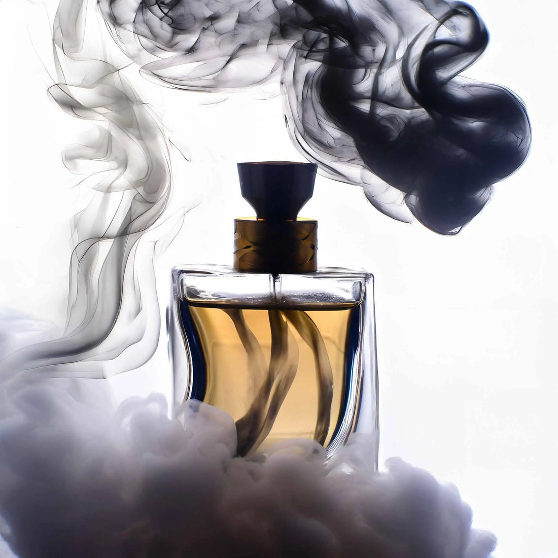 Was-ist-Pheromon-Parfüm-und-funktioniert-es Hani Perfumesduftzwillinge parfum dupe zwilling duftzwilling